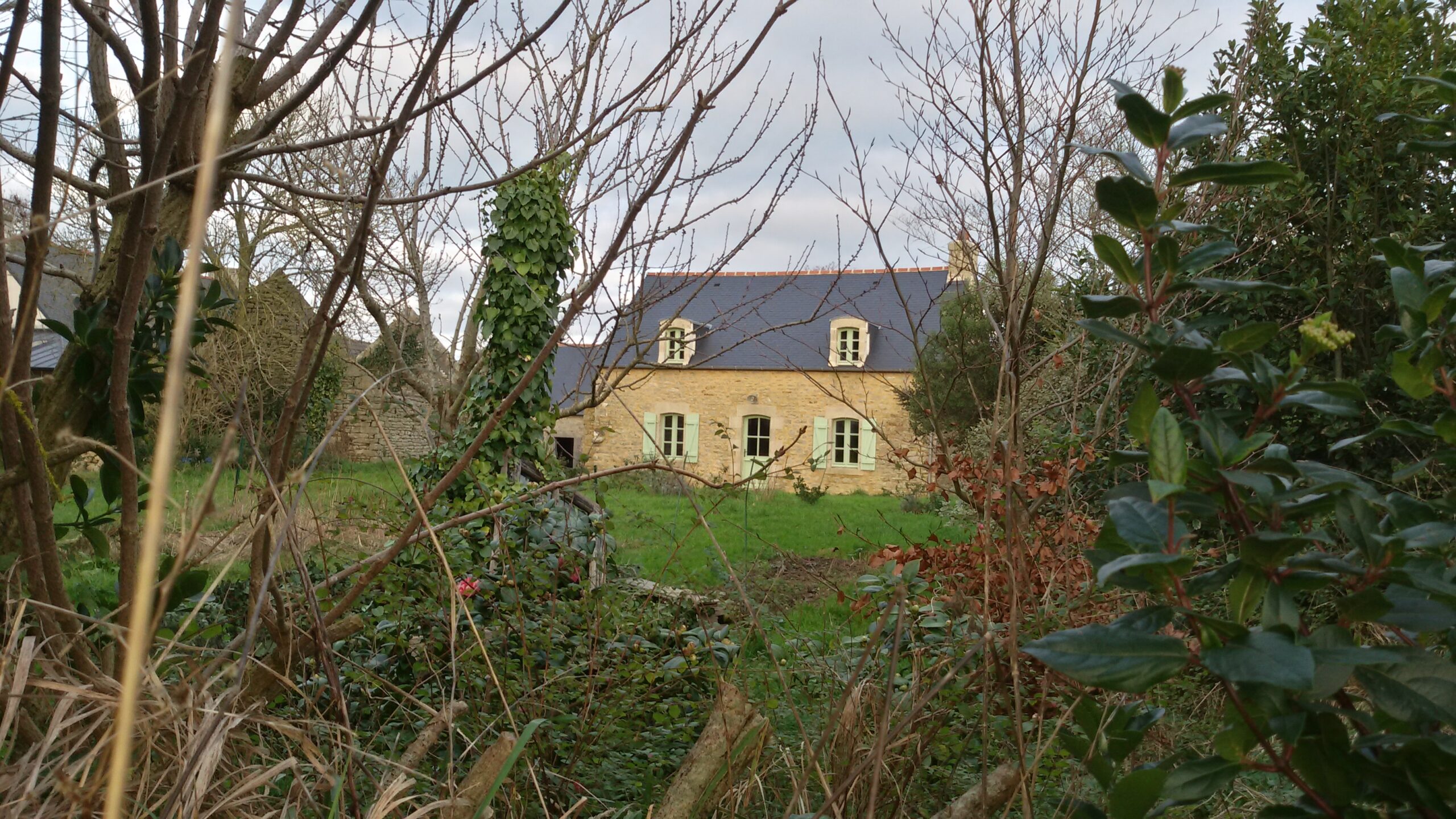 20150125_171344_Richtone(HDR)
