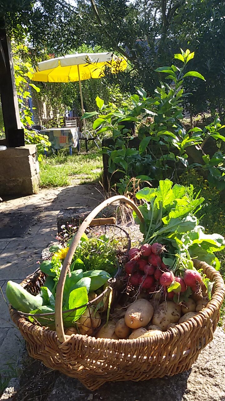 20180709_100909